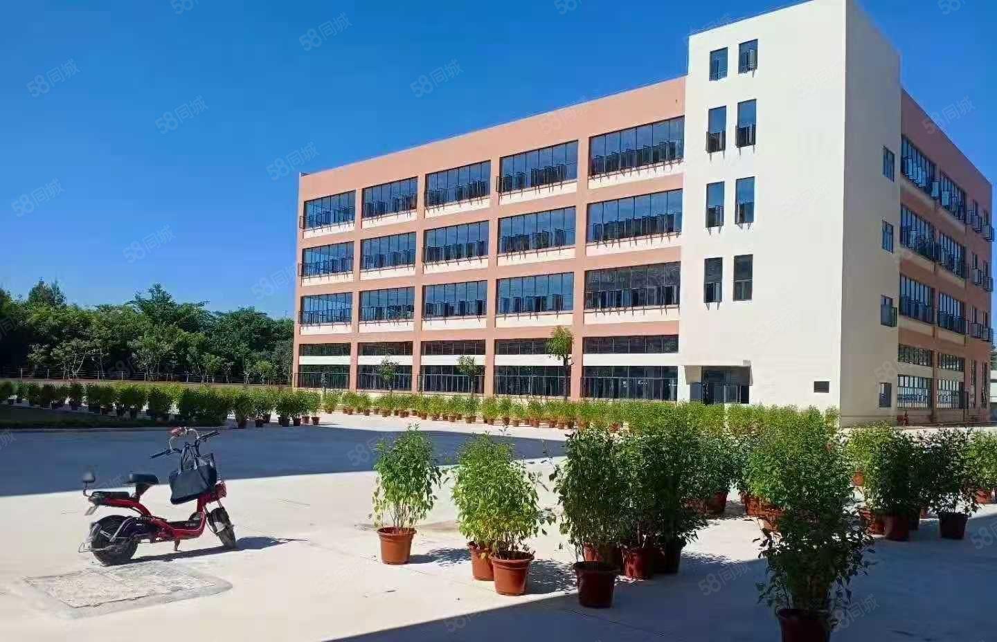 塘厦大坪高速出口科苑城原业主独栋8000平大小分厂房仓库出租