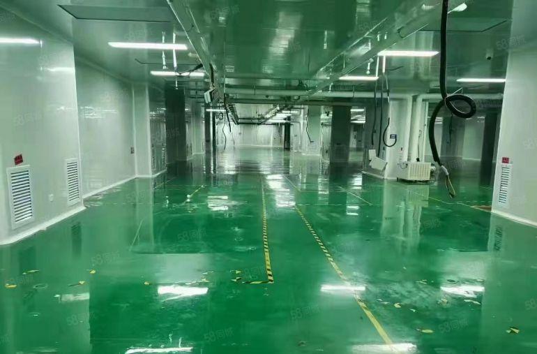 新出楼上整层2000平精装修无尘车间拎包入驻 原房东实际面积