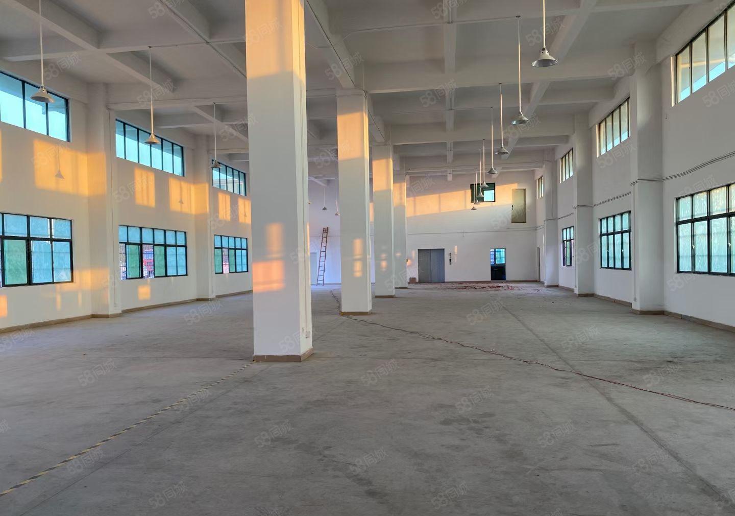 塘厦新出一楼1480平方，首层高度6米，26楼各1380