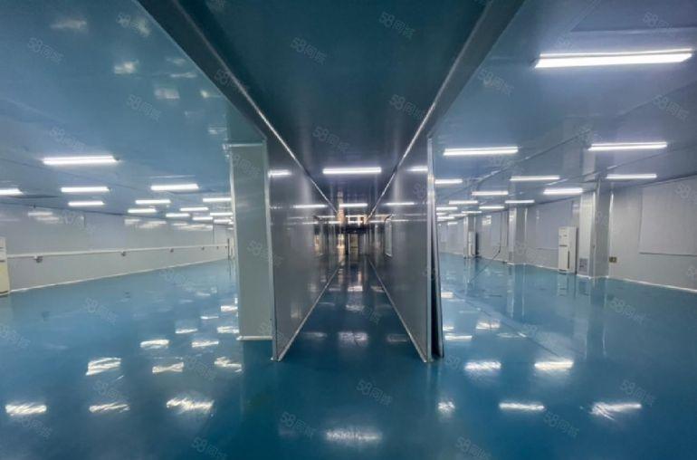 塘厦凤凰岗东深二路旁，原房东新建厂房2万平直招，可分租