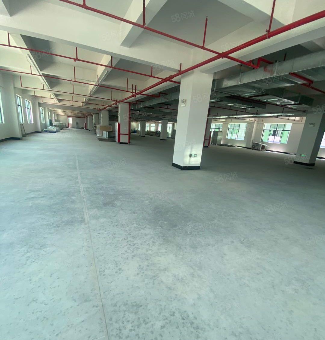 塘厦诸佛岭独门独院1400平厂房出租，价格便宜，