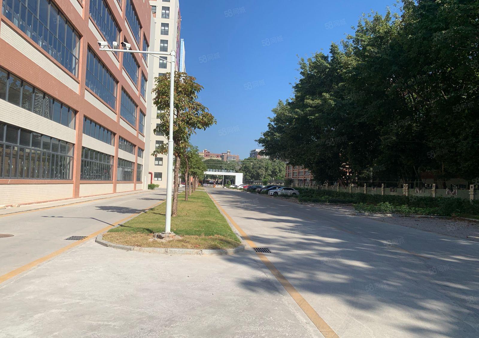 塘厦高速路口厂房出租，空地大，单层面积2900平，高6米