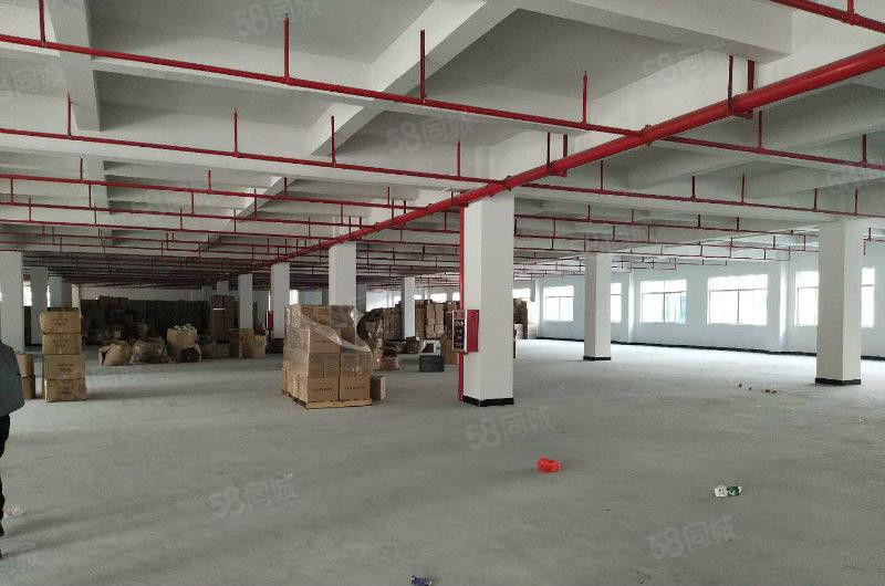 （一手房东直租，没有公摊）塘厦镇中心独院7850平方厂房出租