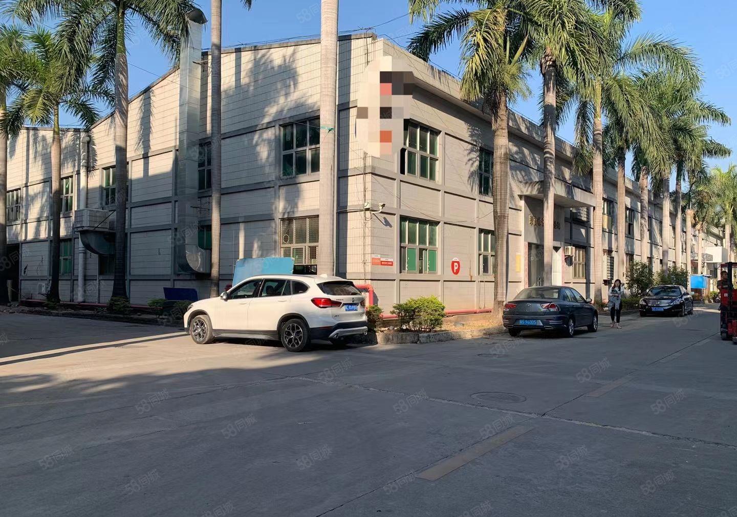 塘厦林村高速附近单一层钢构2520平滴水8米水电齐全拎包生产