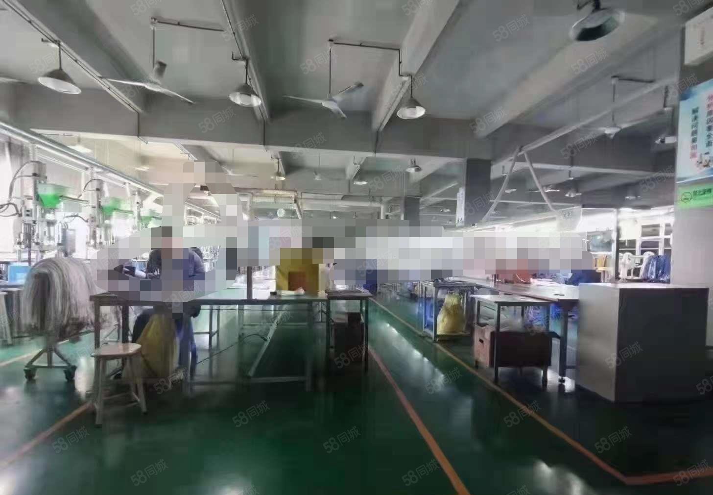 塘厦科苑城 红本独院厂房出租7960平 适塑胶电子玩具五金