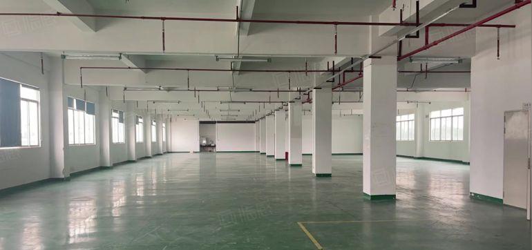 塘厦田心2楼精装修1760平低价出租有地坪漆消防喷淋车间敞亮