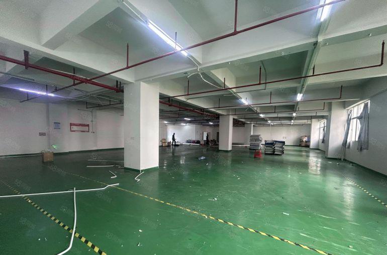 塘厦清湖头标准厂房1650平！隔好办公室精装修，0公摊