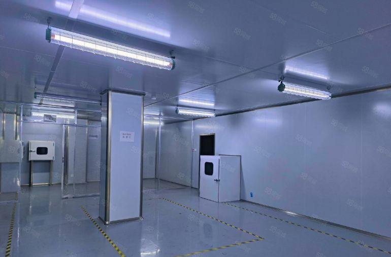 大坪高速刚出来空厂房无尘车间1480平米，拎包入驻