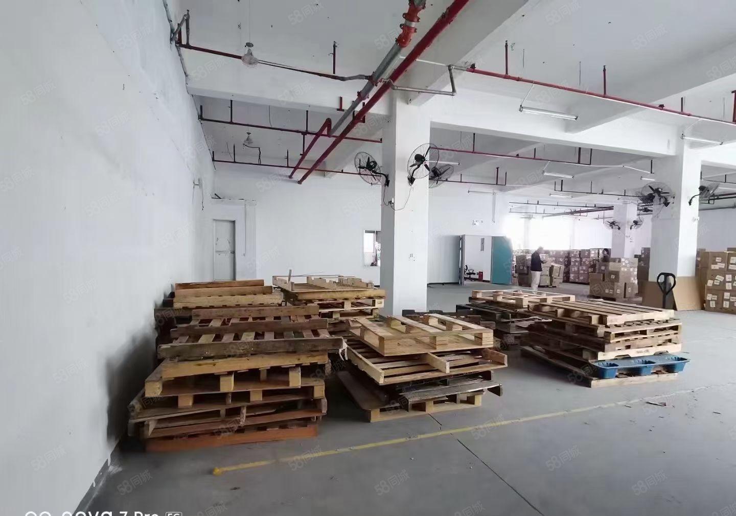 田心原房东一楼300平5800元打包价厂房出租滴水6米易招工