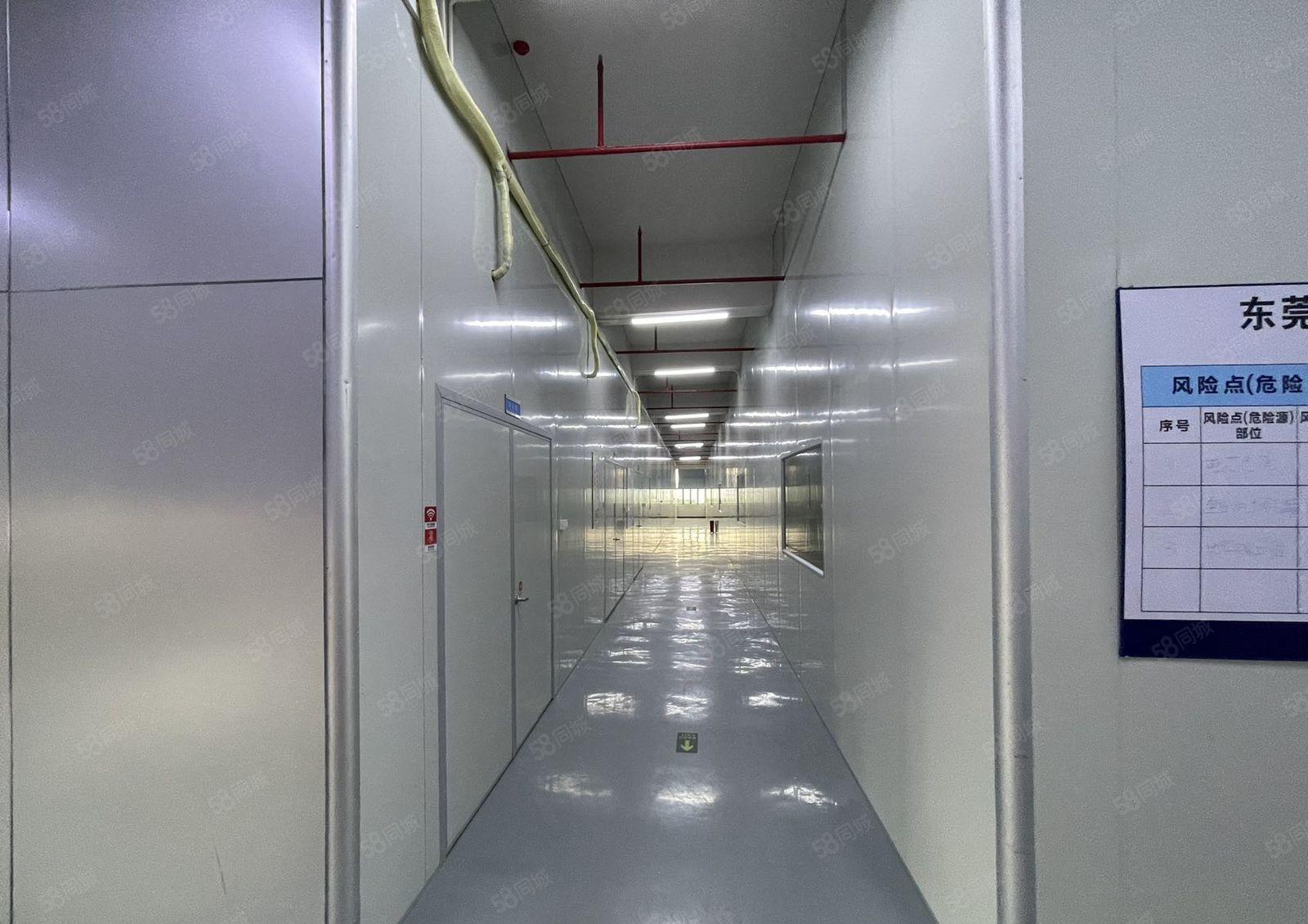 沙湖4楼标准厂房2950平方  货梯俩部俩吨 超大停车场