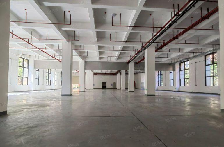 塘厦红本可隔独院厂房900平起出租，丙二类消防带精装修行业