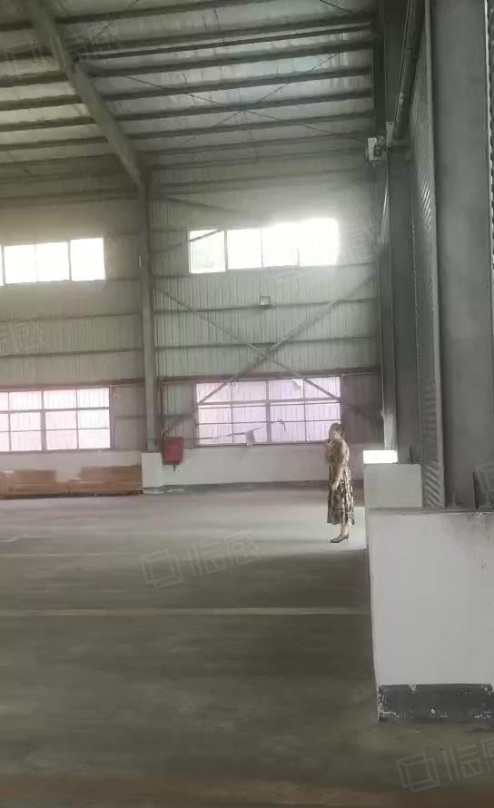 塘厦镇大坪新出单一层钢构1800平独院出租 滴水9米带装修