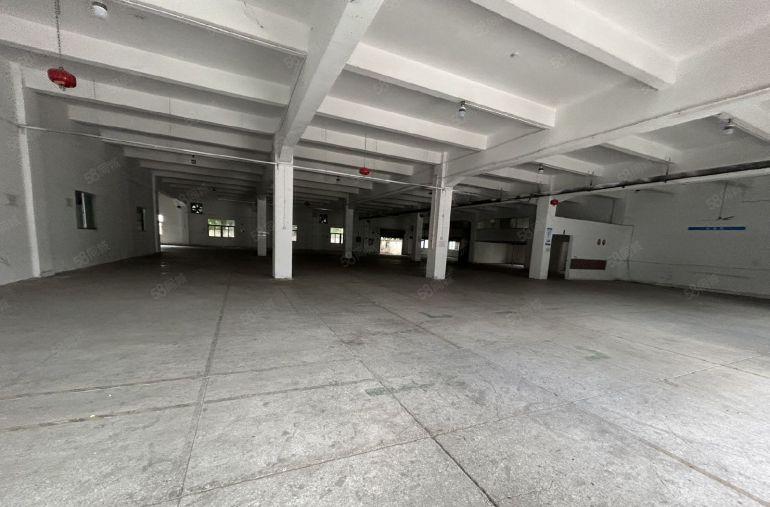 塘厦科苑城独院标准1楼1200平方，高度6米，大小可分租！