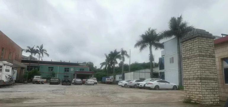 塘厦龙背岭工业园厂房分租单一层钢构1000平方无柱子低价便宜