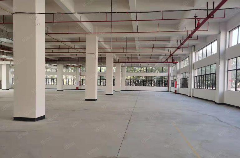 塘厦原房东0公摊独栋8000平单层2000空地大厂房仓库出租