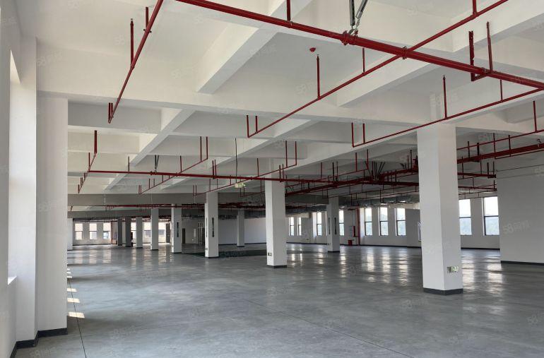 厂房出租1000平起租，大坪高速口，省心放心安心，速来！