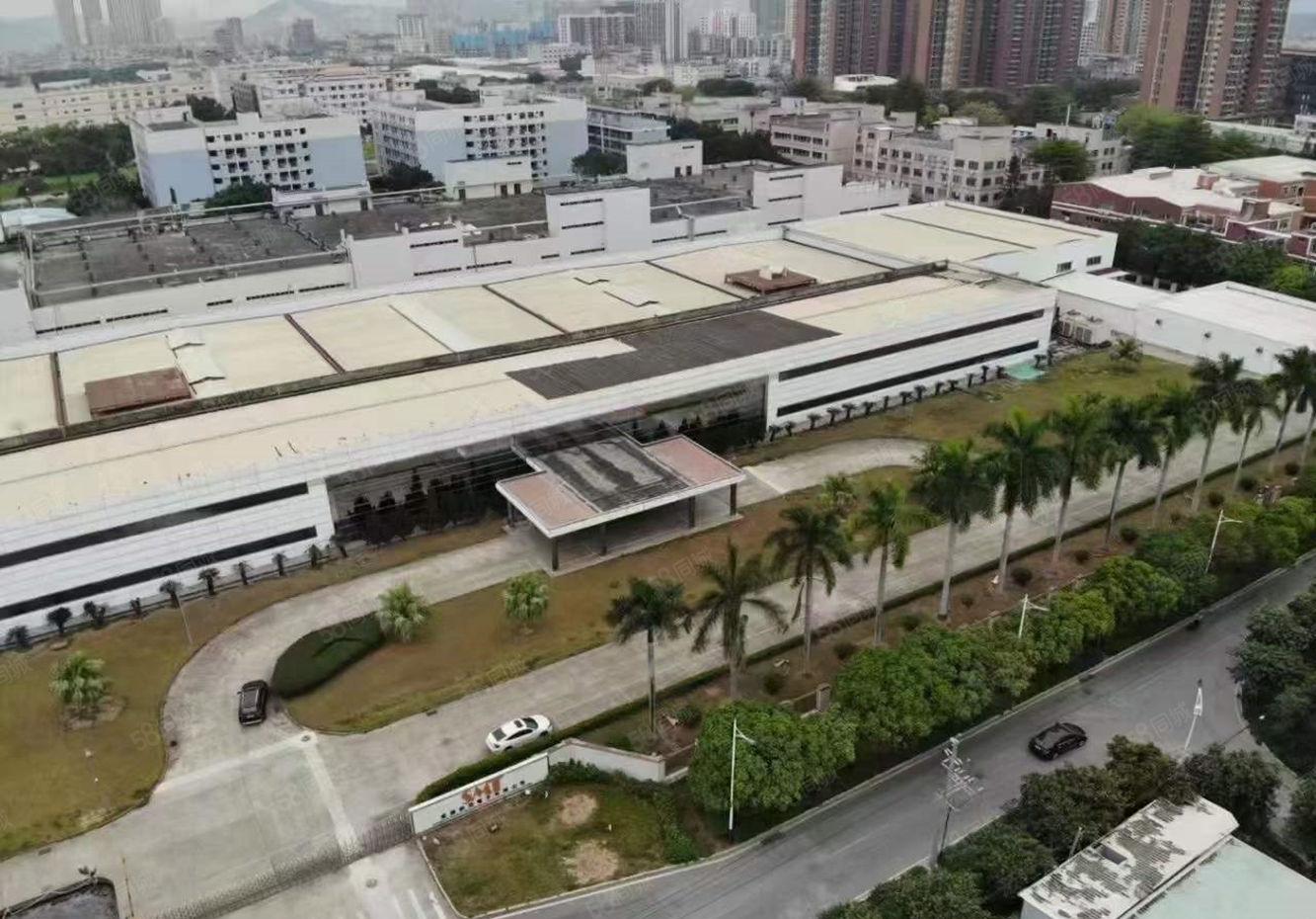 塘厦138独院厂房出租原房东实际面积16000平可分租可短租