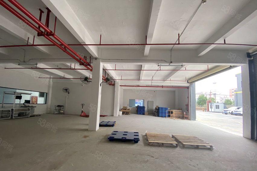 塘厦独院一楼285平仓库厂房出租，消防喷淋水电全可进大车