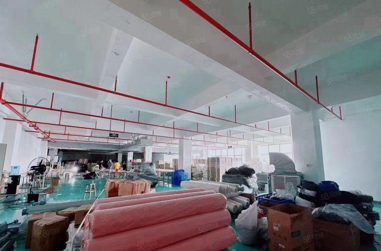 12元！塘厦沙湖楼上2500平带装修厂房仓库出租