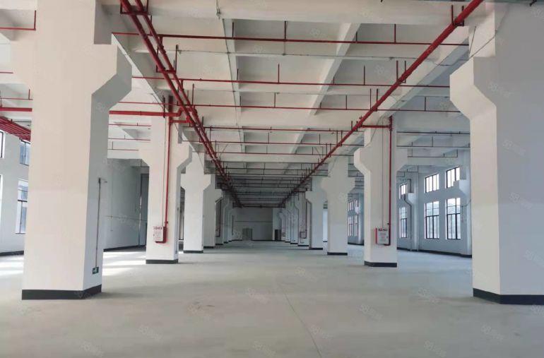 塘厦蛟乙塘原房东一楼3000平带牛角大小分空地大厂房仓库出租