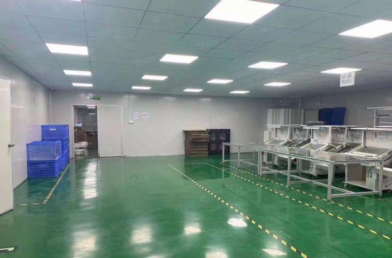 无转让费塘厦原房东独院厂房1280平豪华装修无尘车间 可分租