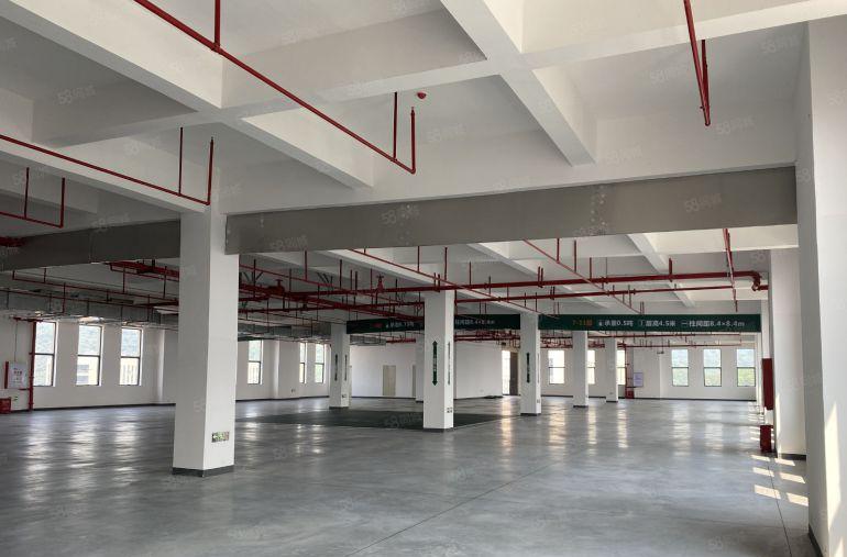 塘厦高标厂房出租，可分租，可办环评，企业必选！