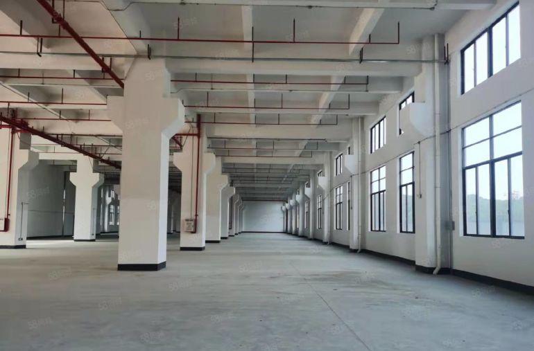 塘厦蛟乙塘原房东一楼3000平带牛角大小分空地大厂房仓库出租