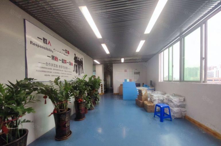 塘厦沙湖将空出二楼整层2000平厂房，漂亮精装修无转让费出租