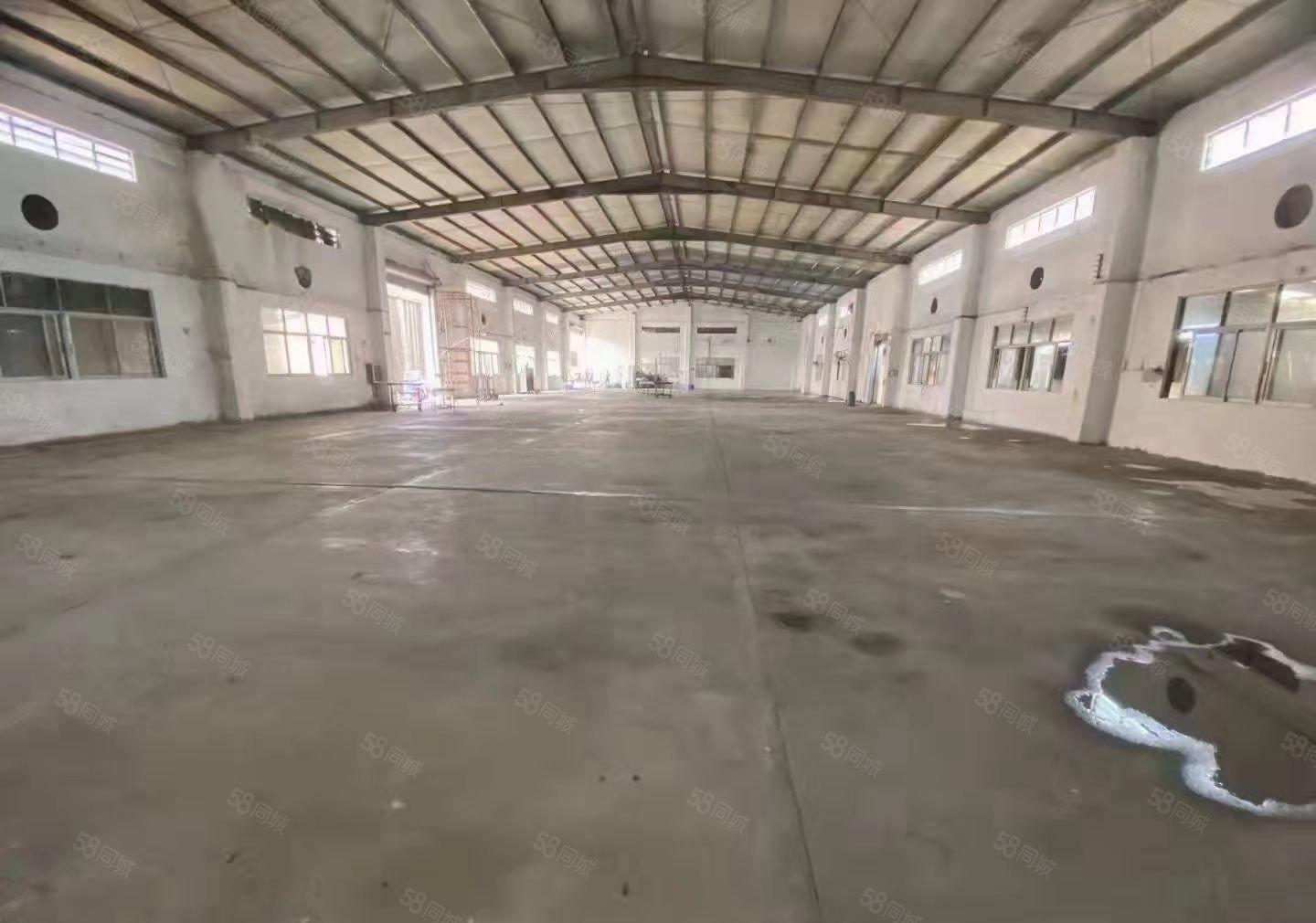 塘厦新出原房东独院钢构单层厂房 合同可签五年 看上面谈