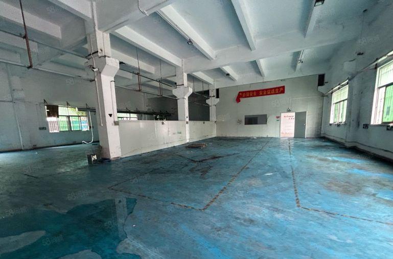 塘厦外环高速旁标准1楼800平方！高6米，可架行车