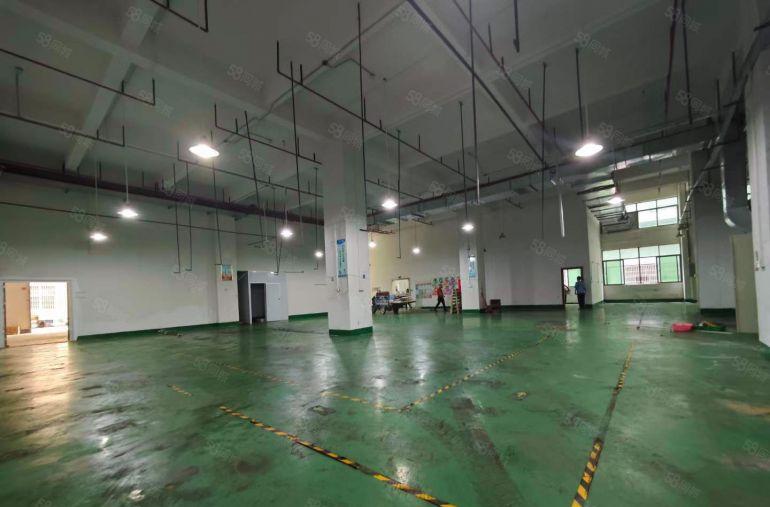 塘厦一楼1000平层高6.5米，带阁楼办公室，水电已到车间形