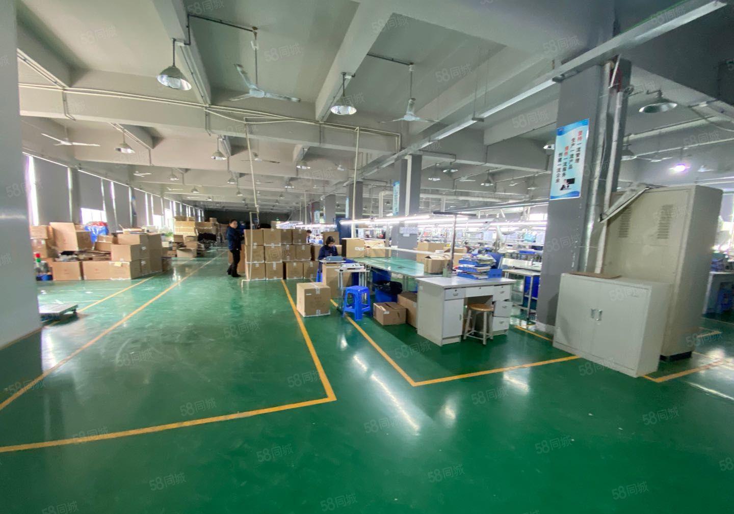 塘厦 科苑城新出原房东红本独院4200平厂房仓库出租大小分租