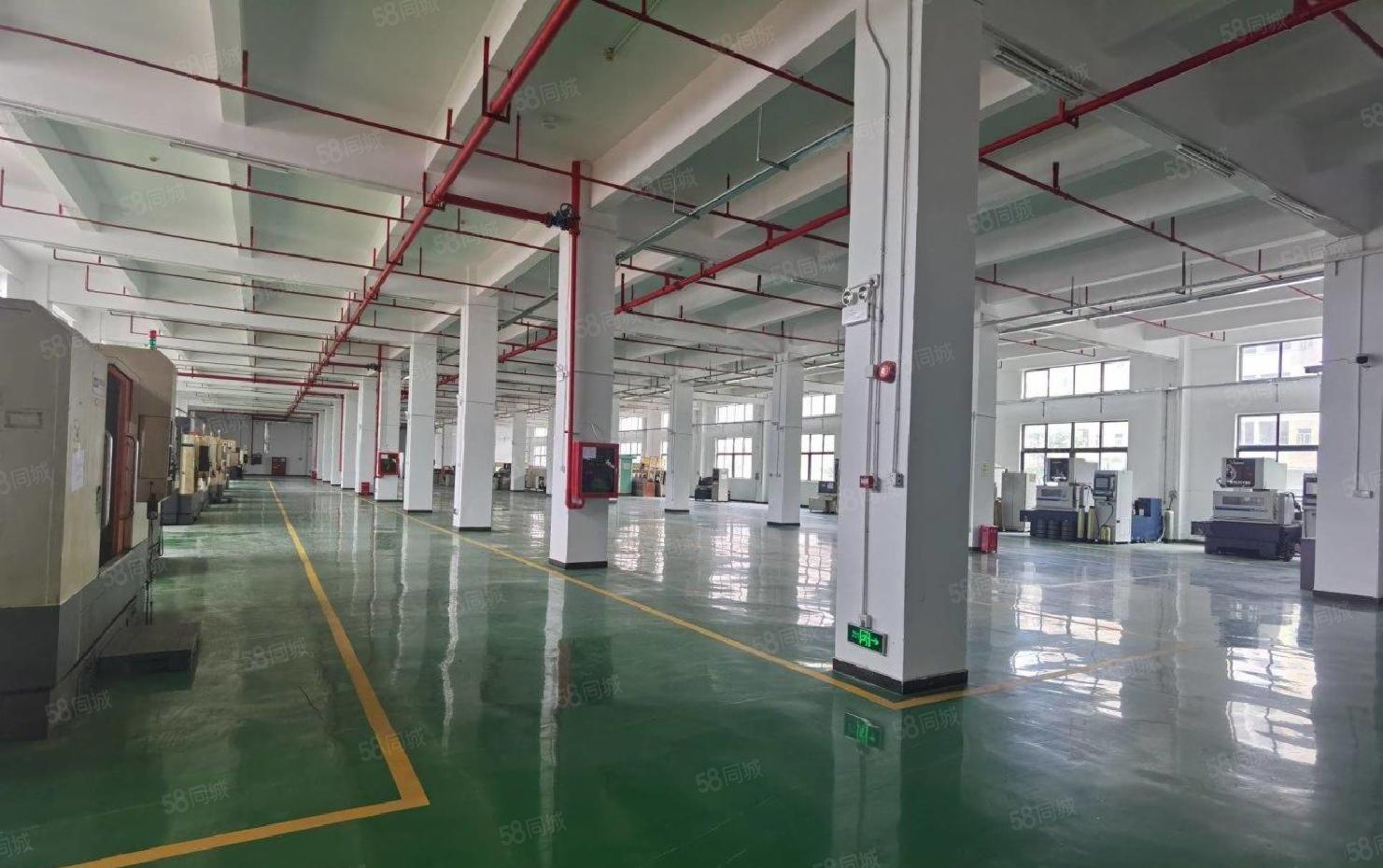 塘厦沙湖花园独院厂房一楼2000平原房东直租，喷淋装修形象好