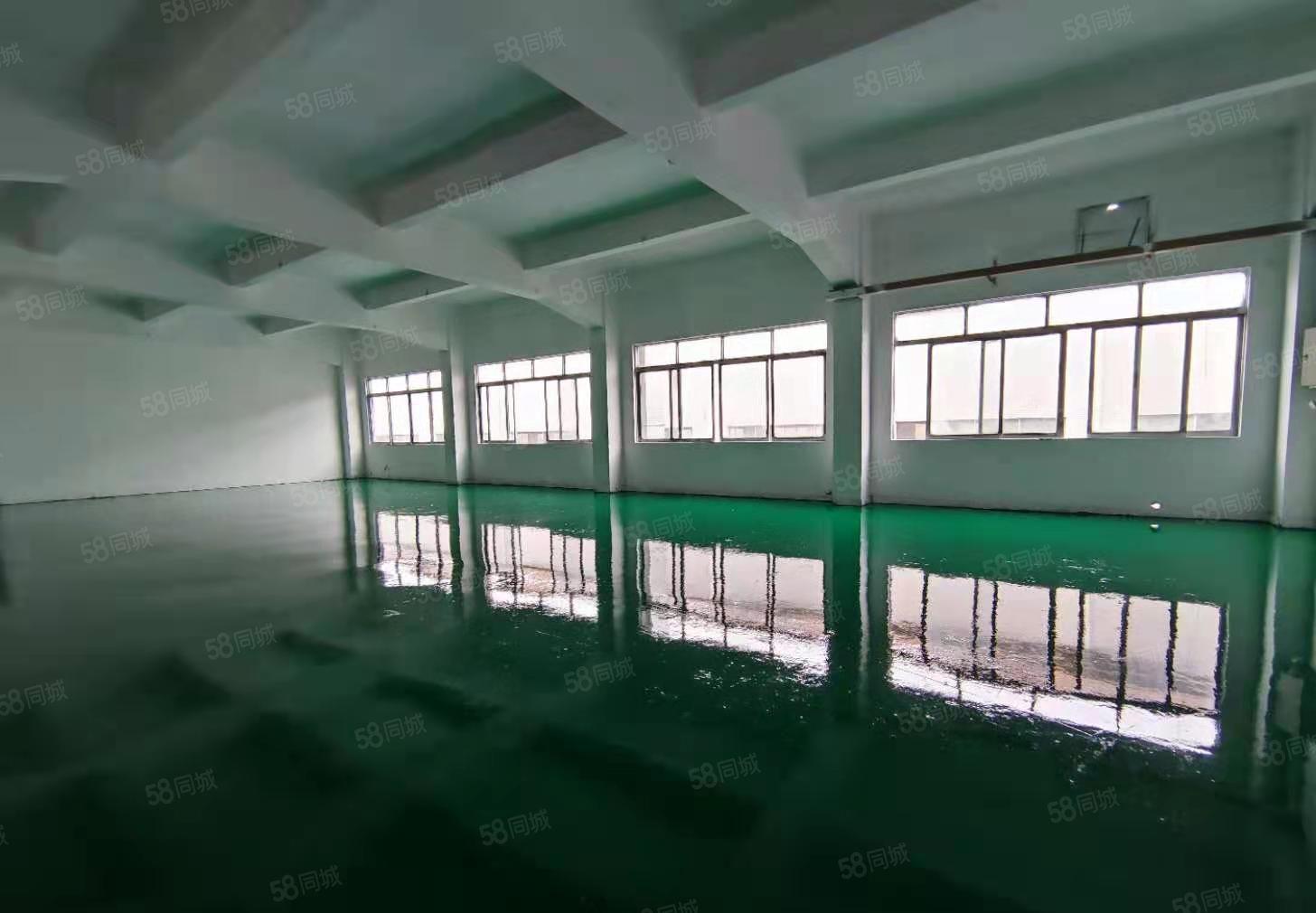 300平起出租塘厦科苑城独院1200平全新地坪漆水电已到车间