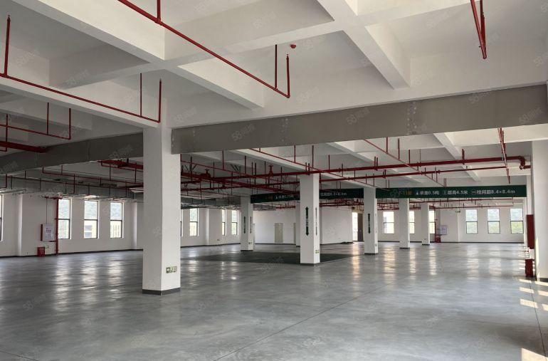 企业必选！全新小独栋厂房招租，可办环评，园林式环境