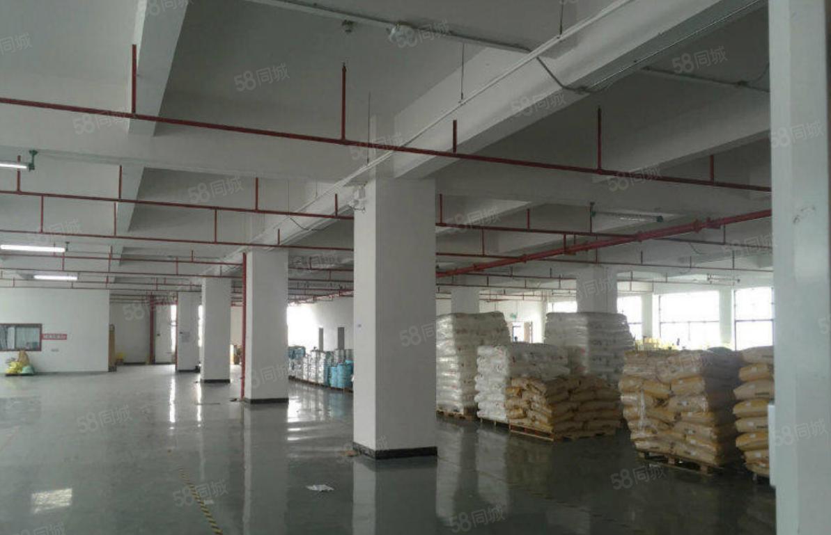 塘厦桥陇刚空出5700平标准独院厂房，现成装修主线，价格美丽