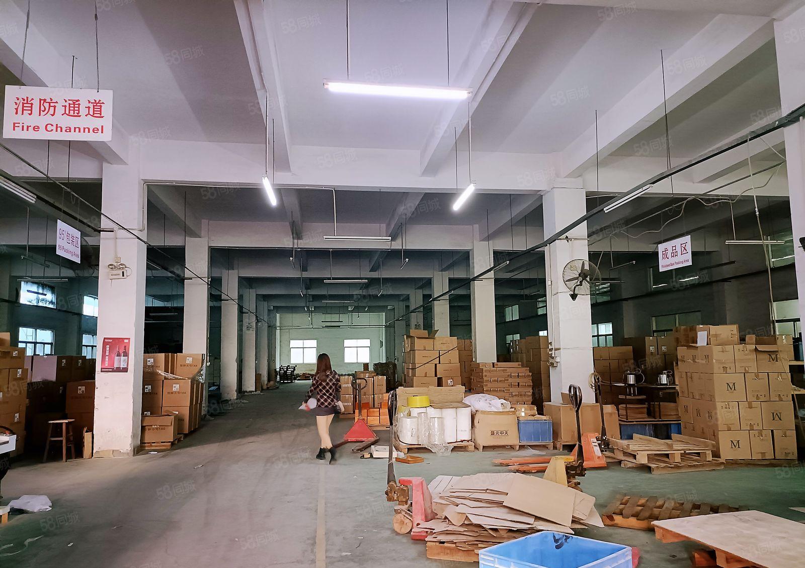 塘厦大坪新出独院厂房12000平出租，标准钢构一起，高速路近