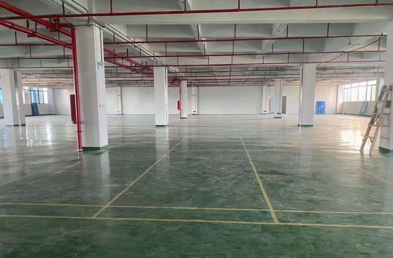 塘厦高速新出二楼厂房5080平方，超大空地，适合仓储物流