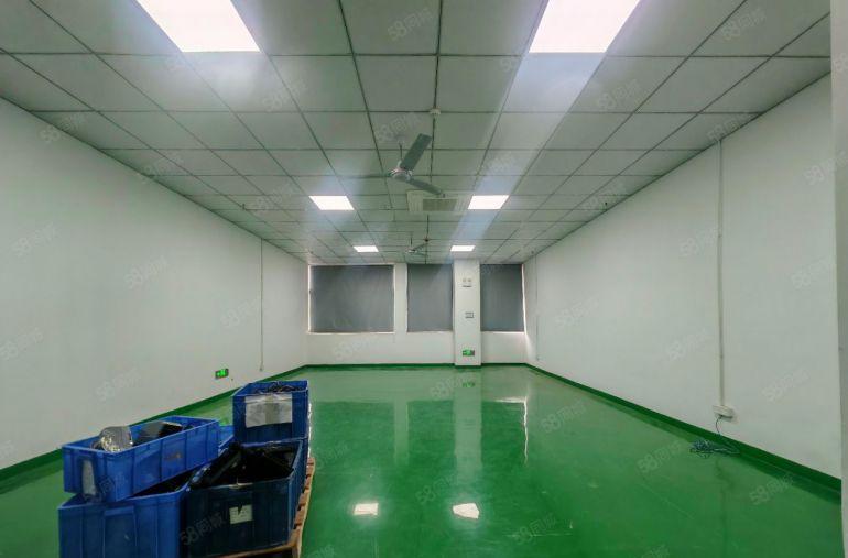 塘厦9000平方独院厂房原房东零公摊高速出口旁