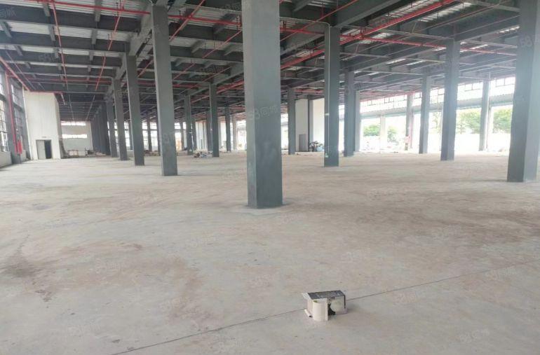 塘厦原房东新建物流仓库17500平方，带消防喷淋卸货平台