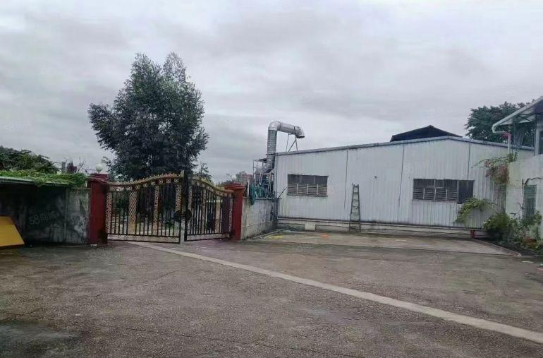 不淹水厂房出租！塘厦天堂围经典小独院钢构2200平，合同期长