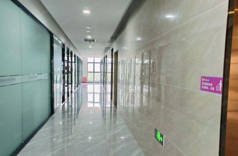 0公摊塘厦原房东1230平厂房电商电子仓库出租精装修