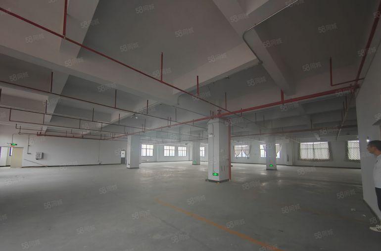 红本双证标准厂房出租 工业用地 可办环评，园区空地大。