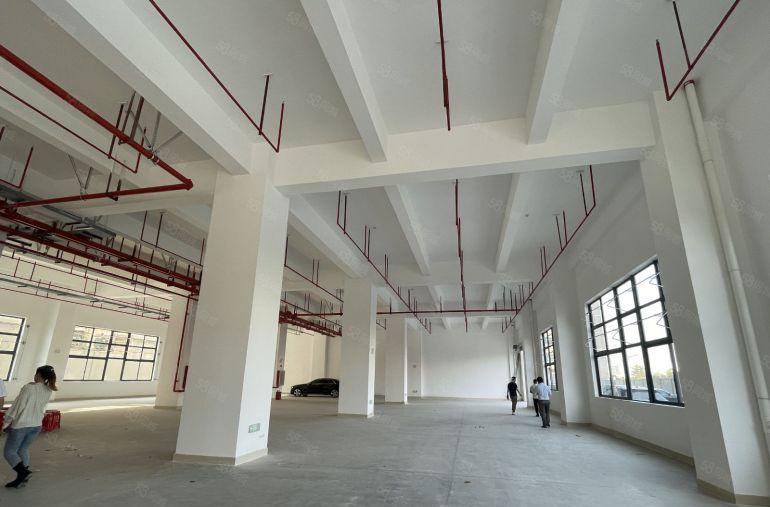 塘厦原房东邻深独院全新厂房出租四部3吨电梯配电大800平起分