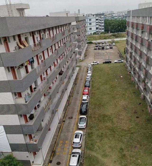 田心全新独院工业园出租标准厂房每层3000平宿舍饭堂配套齐全