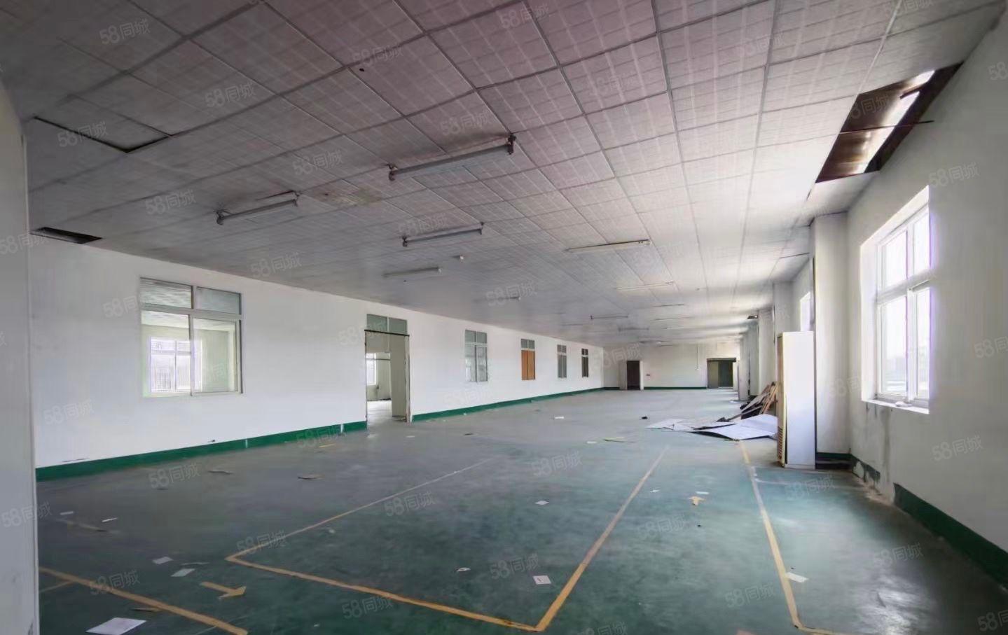 特价 特价！新出楼上一整层实际面积1600平 月租13元一平