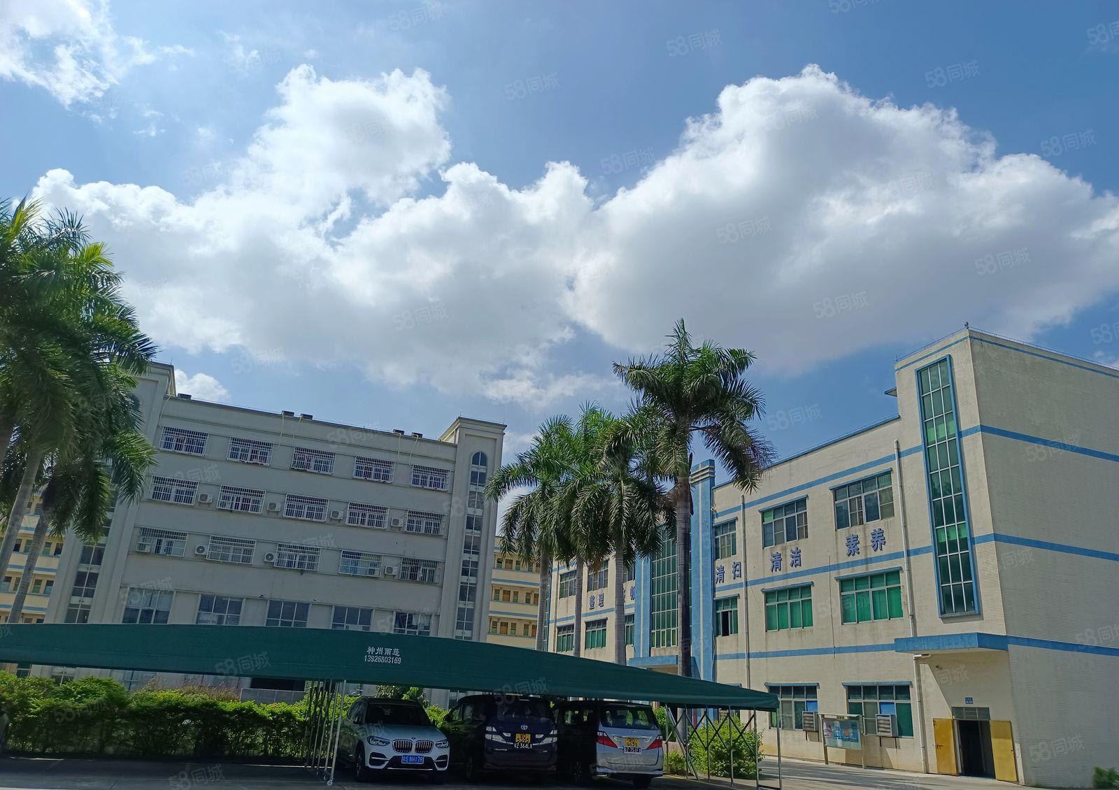 塘厦平山惊现1500平带精装修，水电齐全，可低价甩！