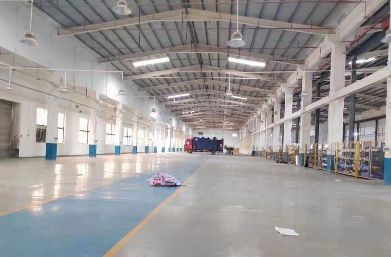 塘厦原房东独院厂房3500平方高度9米超大空地豪华装修