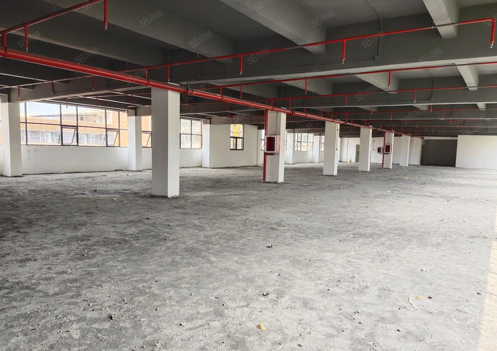 塘厦168工业区楼上1200平红本仓库厂房出租可分租空地超大