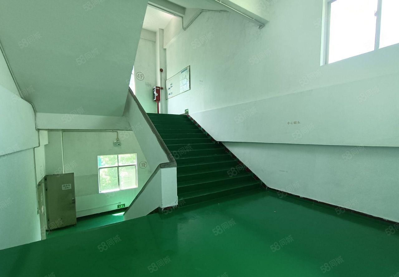 塘厦高速口花园式15000平独院厂房出租，装修环境好，空地大